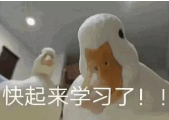 起来学习！