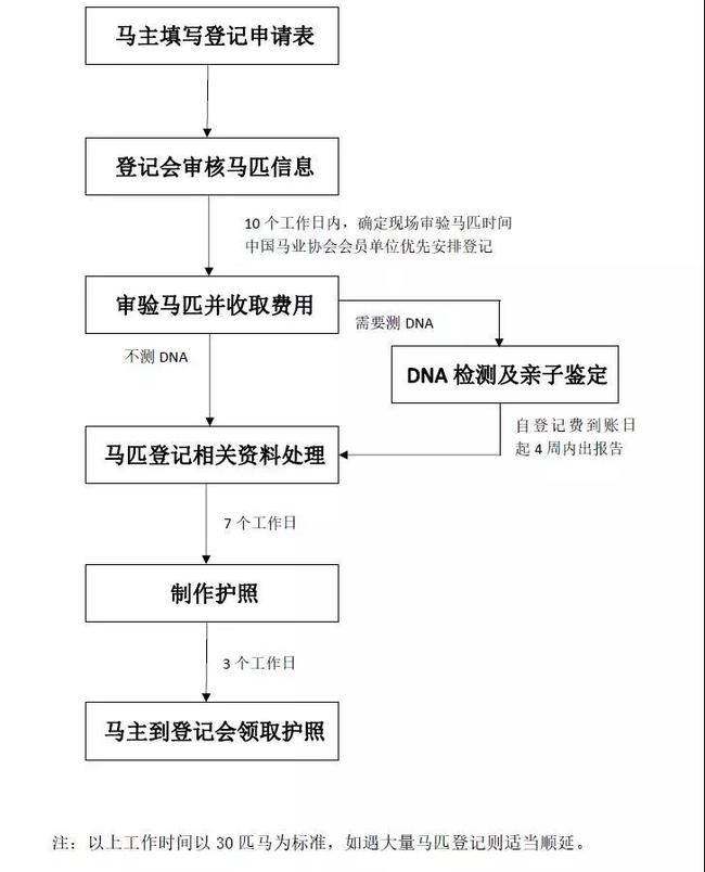 马匹登记图片