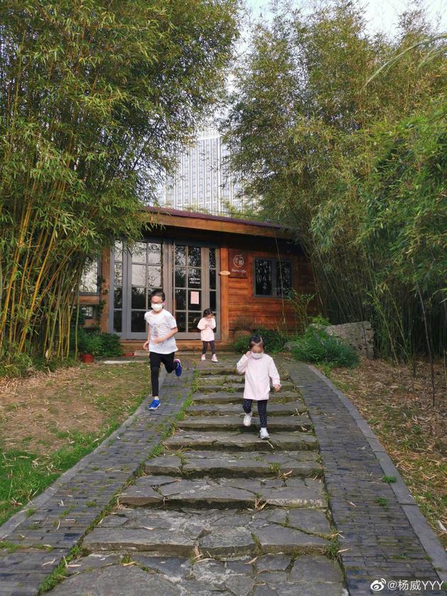 杨威带儿女逛公园 杨阳洋与妹妹们肆意奔跑