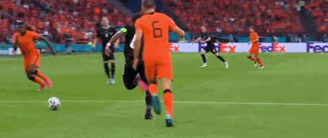 荷兰1-0