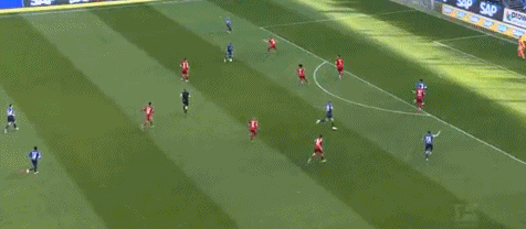 霍芬海姆1-0，鲍姆加特纳