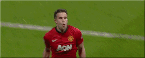 正面示例五：范佩西