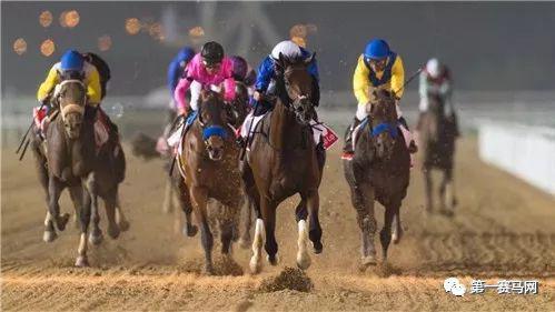 图片来自迪拜世界杯赛事官网。