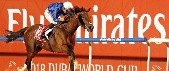 全球奖金最高赛马赛事排行TOP20