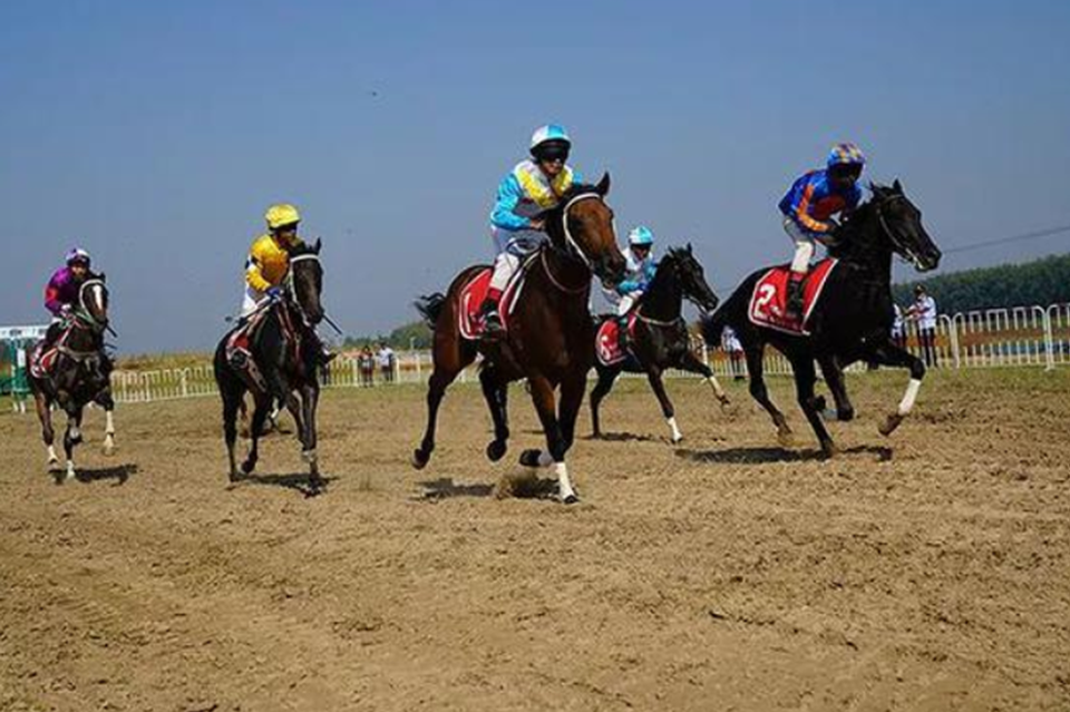 2018中国安平国际马联（FEI）耐力达标赛