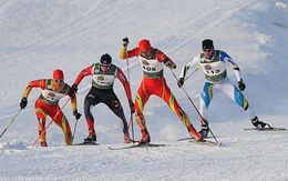 雪上项目资料图
