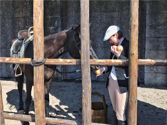 如何成为马语者？