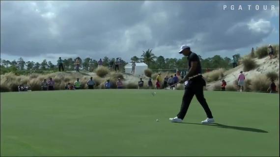 老虎伍兹复出第一鸟！