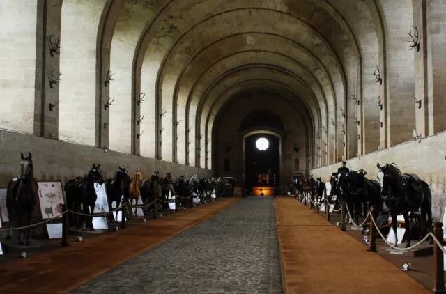 现实版博物馆奇妙夜不不不是活马博物馆