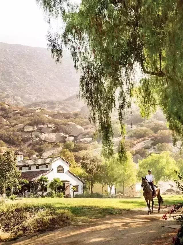 世界上最豪华的私人马术牧场