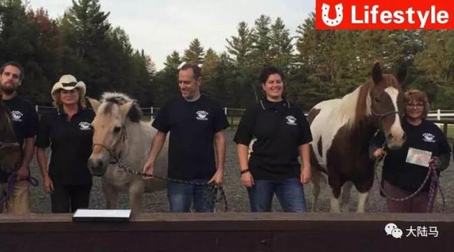 马匹心理治疗和互助会