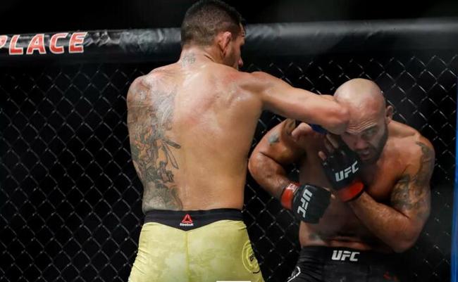 安乔斯一致判定胜劳勒