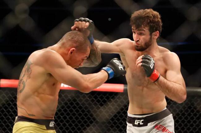 俄新星扎比特出战ufc223 布鲁克林对决巴齐尼亚克