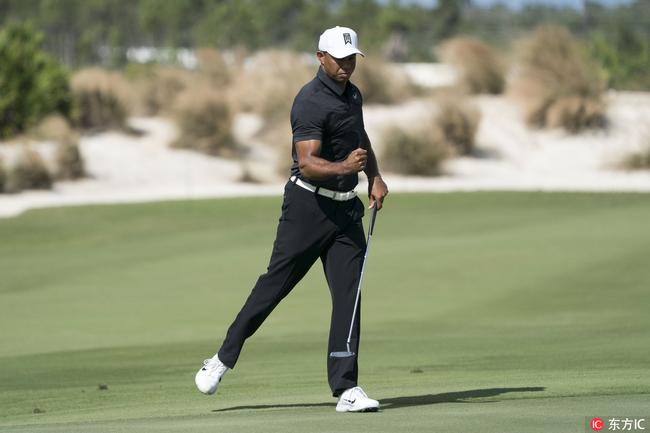 标志性老虎握拳庆祝再现江湖