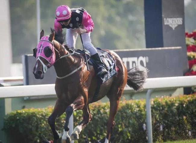 梁家俊与“美丽传承”