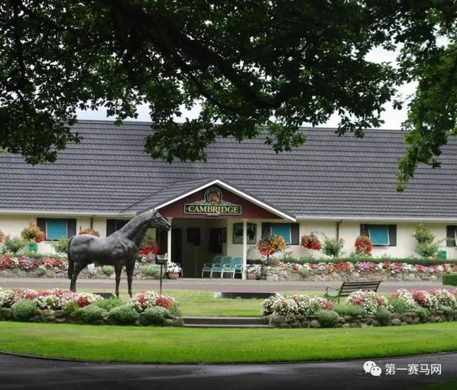 剑桥牧场