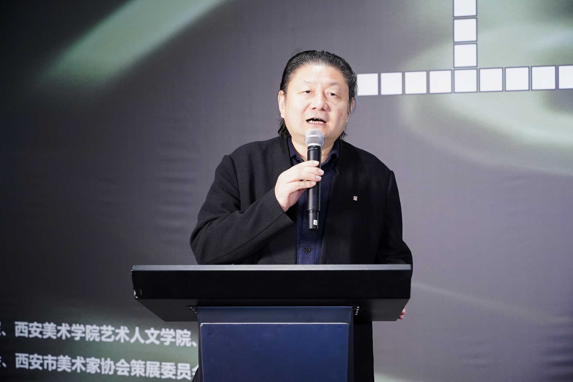 陕西省美术家协会主席、西安美术学院院长 朱尽晖