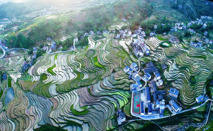 汉阴凤堰梯田春景如画
