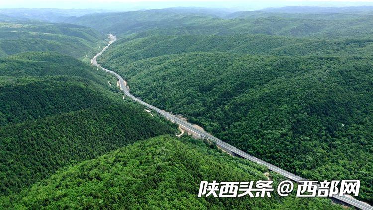 刚刚！延黄高速通车 陕西再添南北出行新通道 - Vimarsana News