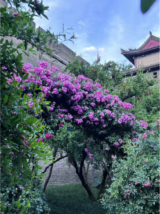 初夏的环城公园