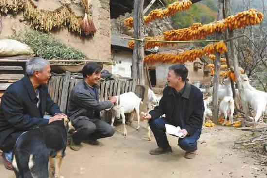 西安市碑林区选派的第一书记王党锋仔细询问贫困户养殖情况。资料照片