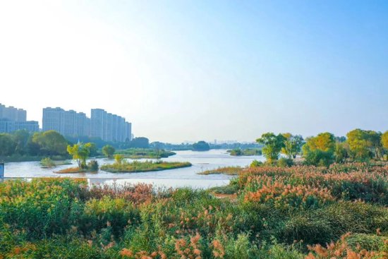 灞桥生态湿地公园 集齐了秋天的五颜六色