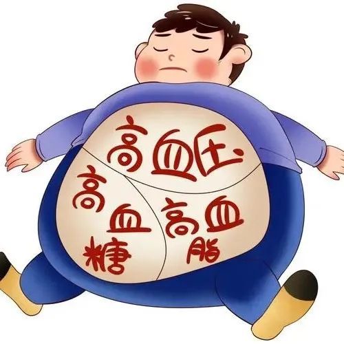代谢综合征过度肥胖不仅影响形象更是严重的健康问题是疾病得治