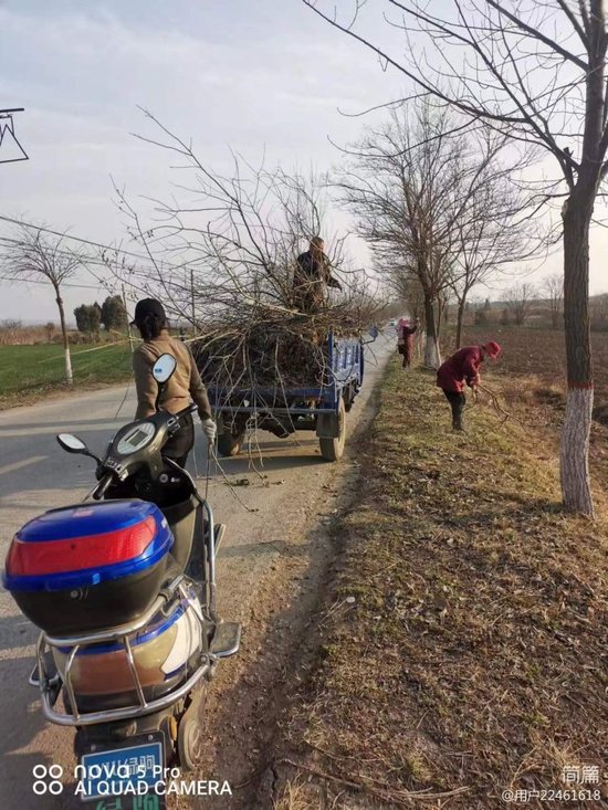 乾县峰阳镇扎实开展环境卫生整治工作