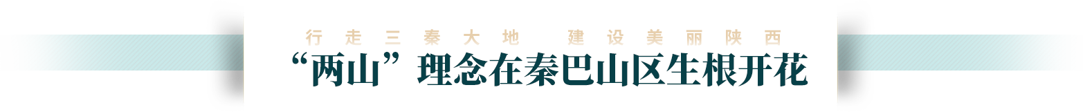 第三屏頭圖
