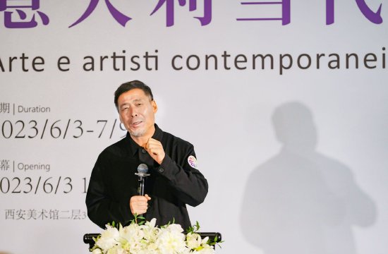 西安美术馆杨超馆长致辞