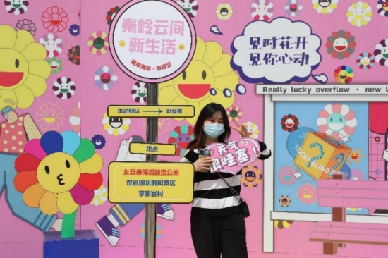 快来参与拍照打卡领养多肉高新区秦岭云间新生活五一文旅系列活动启动