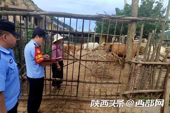 子长铁警对线路周边大牲畜养殖户等进行法制安全宣传。