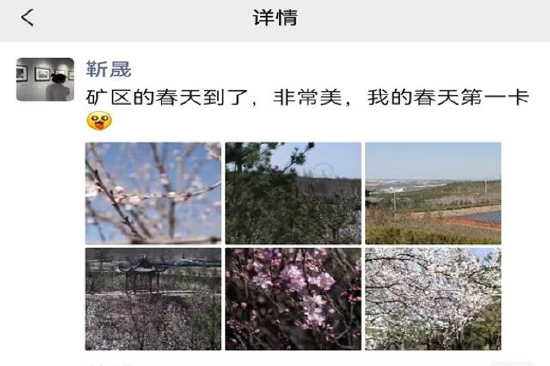 图为靳晟2026年关于矿区春景的一组打卡照