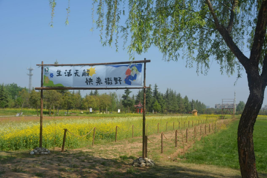 张星 摄