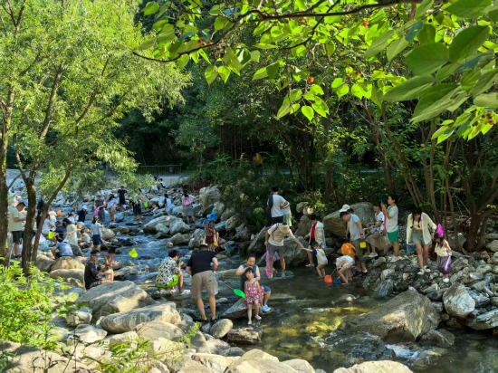 多重福利清凉一夏！少华山景区暑期惠民活动全面开启