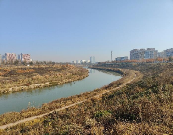 沣 河