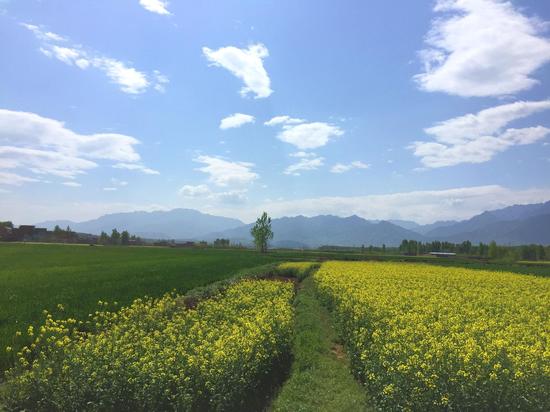 陕西省首家自然亲子乐园悦芽谷五一正式开园