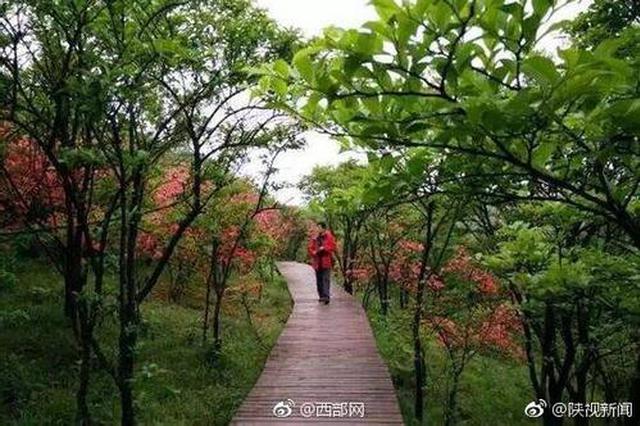 黄陵到太原的车