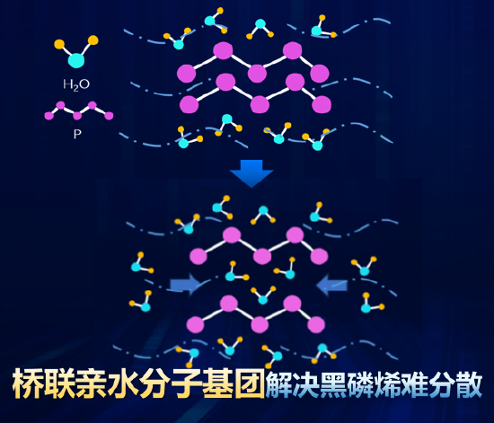 黑磷烯分散原理图