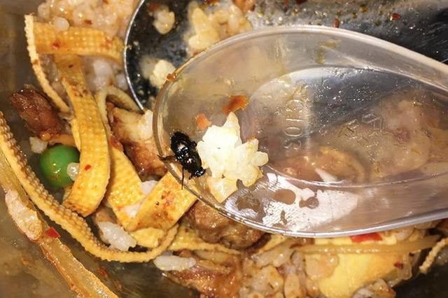 大学生外卖吃出死苍蝇 商家证件过期却仍营业