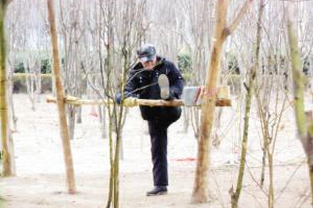 老人健身把树当单杠 人和物品都“挂”树上
