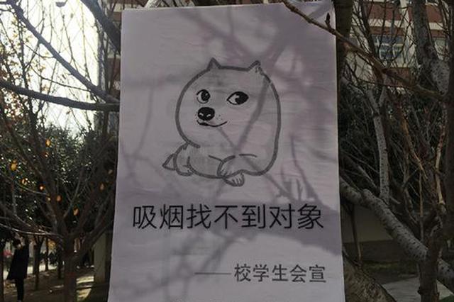西安一高校一夜之间挂满禁烟表情包:"吸烟找不到对象"
