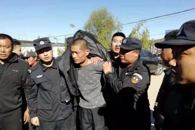 怀疑主播流浪猫被虐 粉丝从沈阳来西安求证