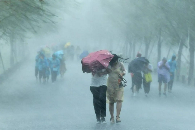 警惕！陕西部分地方有大雨，局地暴雨！ - Vimarsana News