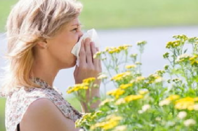 进入秋季需警惕花粉过敏