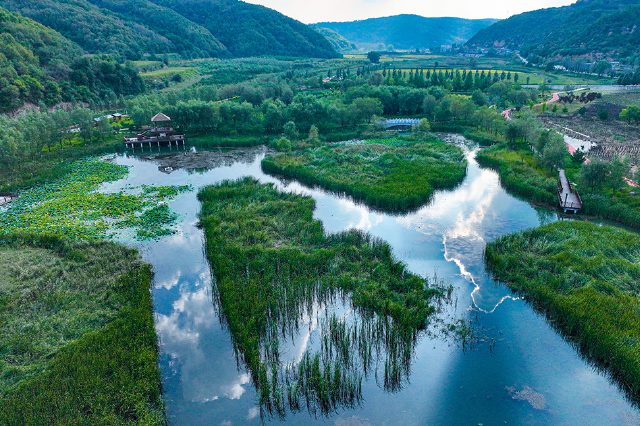 逐梦“绿富美” 黄河两岸展新颜