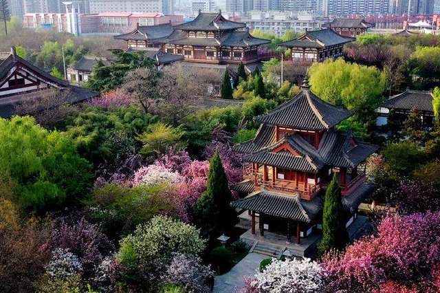 我想认识西安的春夏秋冬