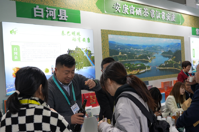 第七届丝绸之路国际博览会西安开幕