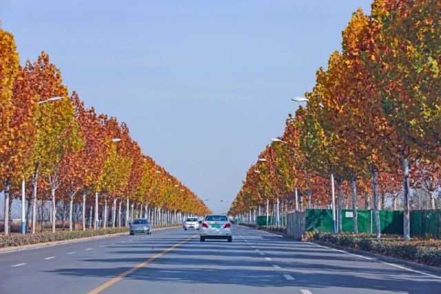 西安市今冬明春气候预测来了