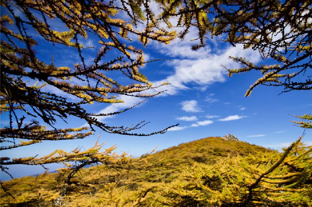 巍巍秦岭 朱雀赏秋